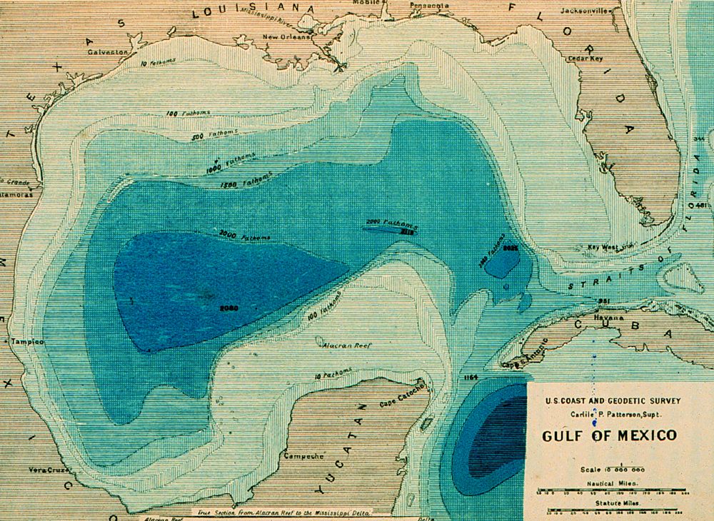 (Gulf of Mexico)